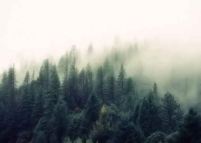 免费电话在线轰炸